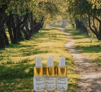 Discovery Set (Nature Collection)