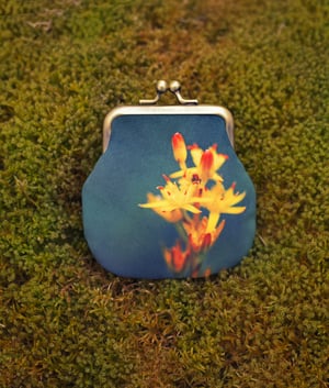 Image of Bog asphodel, velvet kisslock coin purse with silk plant-dyed lining