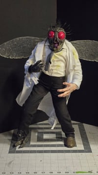 Image 2 of The Fly
