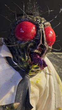 Image 1 of The Fly