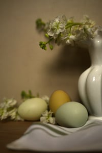 Eggs and Flowers no. 1: Explorations in Still Life