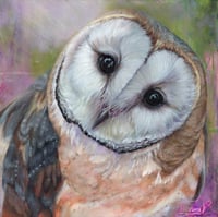 Original Acrylic and Oil Barn Owl Painting by Tammy Mercier
