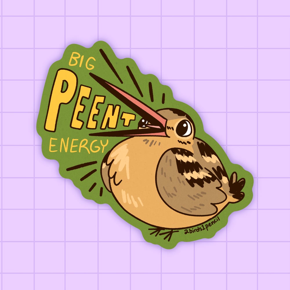 Image of American Woodcock bird peenting vinyl sticker