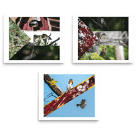 Image 1 of Flag Prints