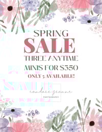 SPRING SALE