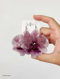 Image 1 of Phalaenopsis, grande | aretes