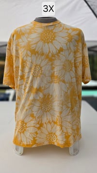 Image 7 of Sunflowers