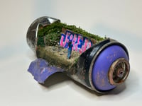 Image 1 of Snapshot 