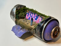 Image 6 of Snapshot 