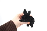 Image 1 of spring bunny - black