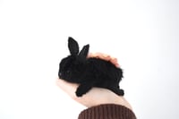 Image 2 of spring bunny - black