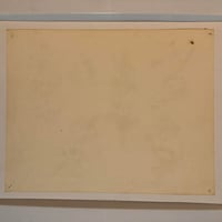 Image 2 of 1978 hand colored Spaulding & Roger’s production sheet skulls 11x14