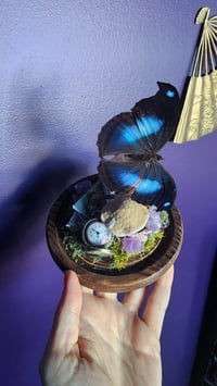 Image 1 of Blue Alice