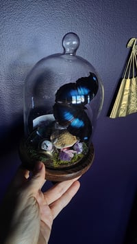 Image 2 of Blue Alice