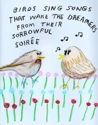 Image 1 of Birds sing songs 