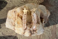 Image 1 of Shining Star earrings
