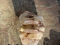 Image 2 of Shining Star earrings