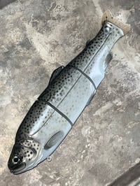 Image 2 of Immortal Trout 11.0 “Satin Trout”