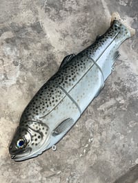 Image 1 of Immortal Trout 11.0 “Satin Trout”