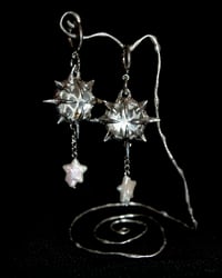 Image 2 of Snake Shed Shooting Stars