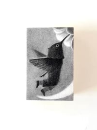 Image 2 of Hummingbird matchbox!