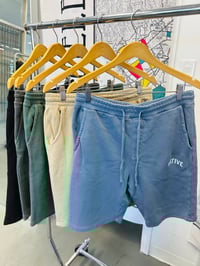 Image 2 of LA NATIVE Shorts