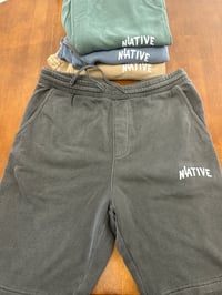 Image 4 of LA NATIVE Shorts