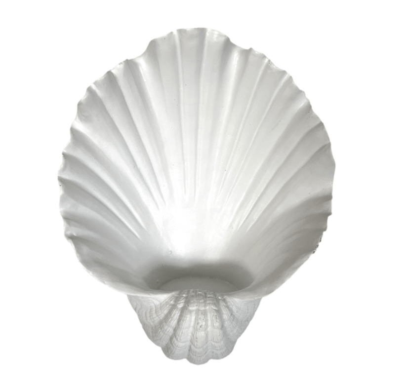 Image of Aquarius Oyster Wall Candle Holder