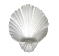 Image 2 of Oyster Wall Candle Holder