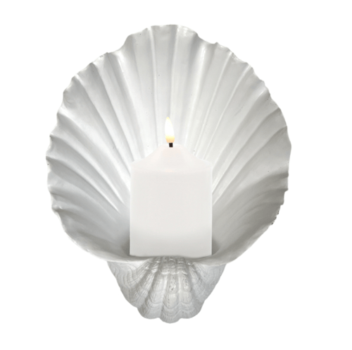 Image of Aquarius Oyster Wall Candle Holder