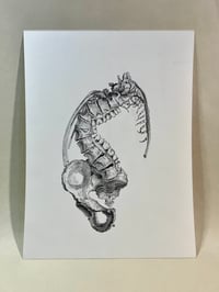 Image 1 of Spine Eater