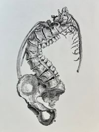 Image 2 of Spine Eater