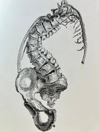 Image 3 of Spine Eater