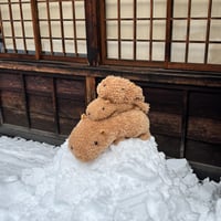 Image 4 of Snow Monkeys & Beyond – A Winter Creative Escape to Japan 6–17 January 2027