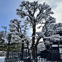 Image 5 of Snow Monkeys & Beyond – A Winter Creative Escape to Japan 6–17 January 2027