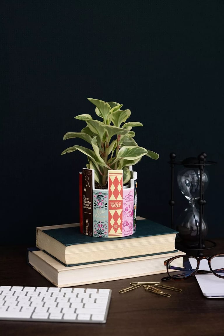 POT À CRAYONS LIVRES CLASSIQUES Image 6