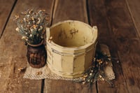 Image 2 of Butterfly Set 