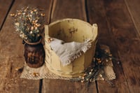 Image 1 of Butterfly Set 