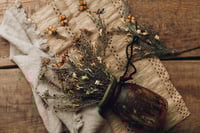 Image 3 of Butterfly Set 