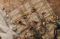 Image 5 of Butterfly Set 