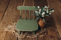 Image 2 of Forest Moss Set