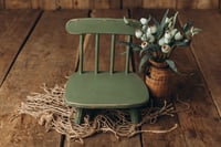 Image 3 of Forest Moss Set