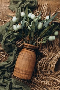 Image 5 of Forest Moss Set