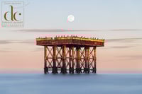 Moonrise at Sizewell. Suffolk Coast Giclée Print 