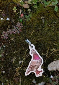 Image 9 of Pigeons - stickers/magnets/keychains