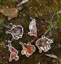 Image 7 of Owl/wood pigeon wooden/acrylic charms