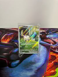 Image 1 of Togedemaru 104/094 Phantasmal Flames Pokemon NM/M