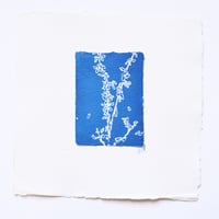 Image 1 of Lavendar 1 - Cyanotype