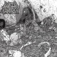 Lurid Panacea ''The Insidious Poisons'' - CD 