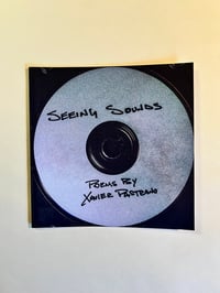 Seeing Sounds